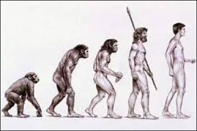 Sciences et Loisirs : Qui a élaboré la théorie de l'évolution ?