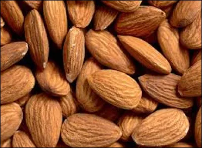 Elle est allergique aux...