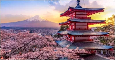 Le kappa est une créature légendaire japonaise ressemblant plus ou moins à...