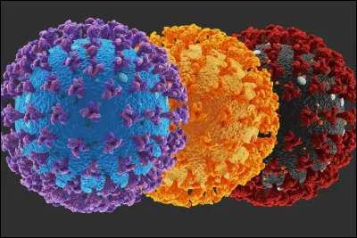 Quand est apparu le variant Omicron de la Covid-19 ?