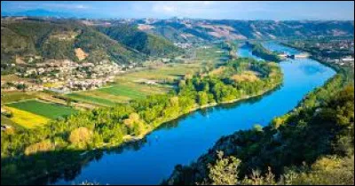 Quel fleuve français se jette dans la mer par un delta ?