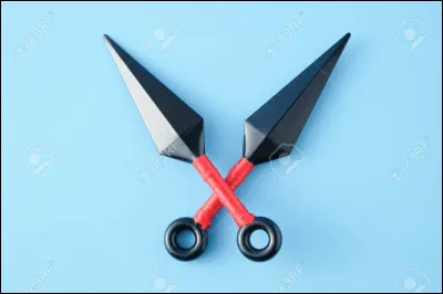 Quelle arme préfères-tu ?