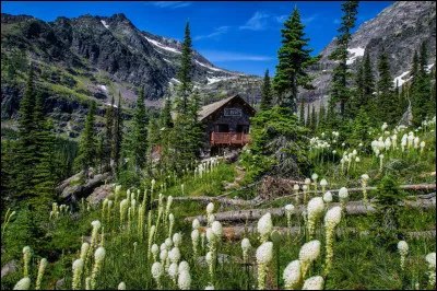 Si tu devais vivre dans la nature, quel endroit choisirais-tu parmi ceux-ci ?