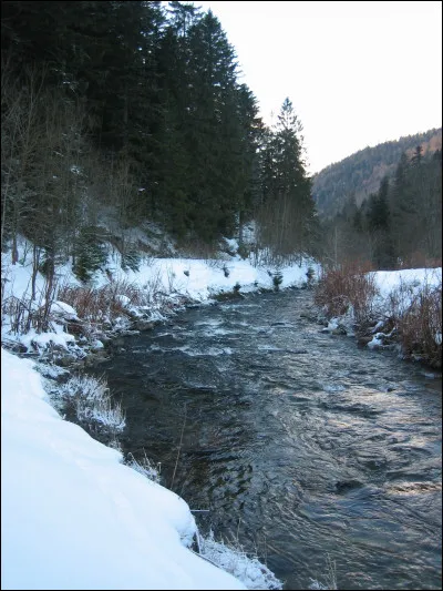Longue de 49 km, elle prend sa source à 1 228 mètres d'altitude, sur le massif du Hohneck, forme le lac de Longemer puis rejoint la Moselle en amont d'Épinal :