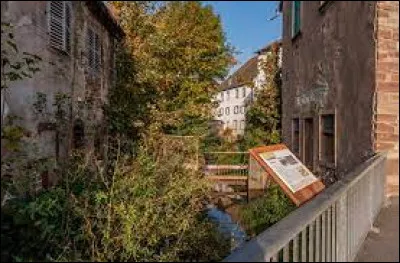 Cette rivière, longue de 33 km, prend sa source dans les Hautes Vosges gréseuses à 863 mètres au pied du Schneeberg, coule vers l'est, arrose Wasselonne et rejoint la Bruche :
