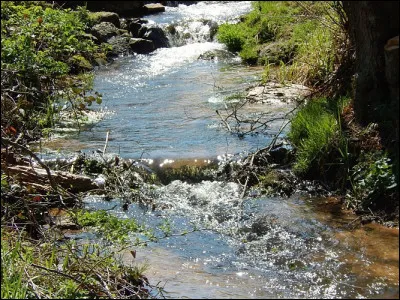 Longue de 82 km, elle prend sa source dans les Vosges du Nord sur le Grand Mittelberg, à 396 mètres d'altitude. Elle coule vers la plaine d'Alsace où elle arrose Haguenau et Bischwiller puis rejoint le Rhin :