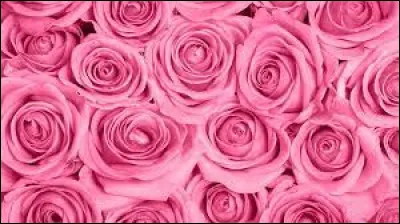 Comment dit-on "rose" en anglais ?