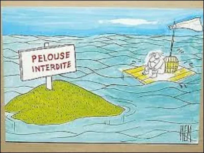 Quel est le pourcentage approximatif de la surface des océans sur Terre ?