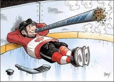 Au Canada, comment appelle-t-on le maillot du hockeyeur ?