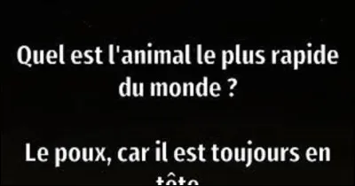 Parmi ces trois animaux, lequel est le plus rapide au monde ?
