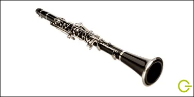 Comment s'appelle cet instrument de musique ?