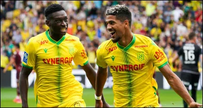Quel est le surnom des joueurs de l'équipe de football de Nantes ?