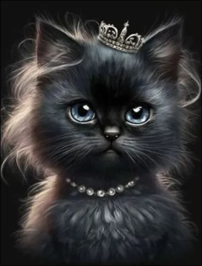 Pourquoi le 17 août est-il consacré à "La Journée du chat noir" ?