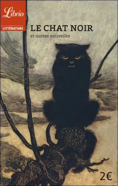 À qui doit-on le roman fantastique "Le Chat noir", symbole de perversité et de folie ?