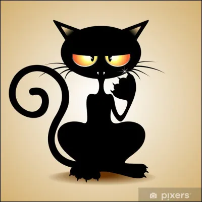 Dans quelle série d'animation rencontre-t-on "Chat Noir" ?