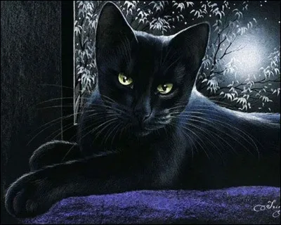 Au Moyen Âge, qu'advenait-il des chats noirs, animaux de compagnie des sorcières ?