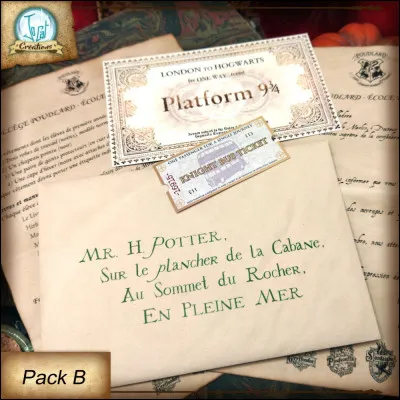 À qui et à quelle adresse la lettre de Poudlard est-elle adressée ?