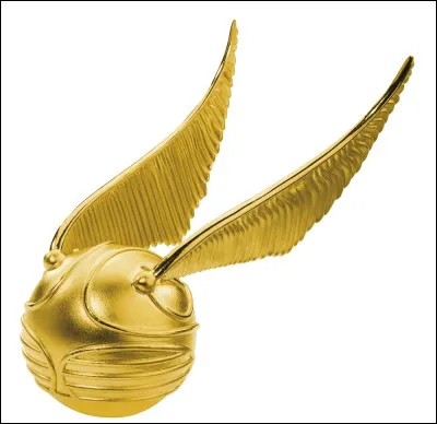 Comment Harry attrape-t-il le Vif d'or lors de son premier match ?