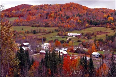 Orange est une ville de l'État du Vermont aux États-Unis.