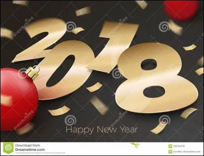 En quelle année le "Journal d'une grosse nouille" est-il sorti en France ?