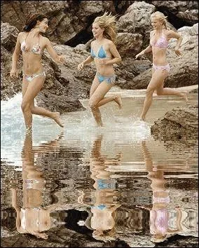 Quand voit-on cette photo ?