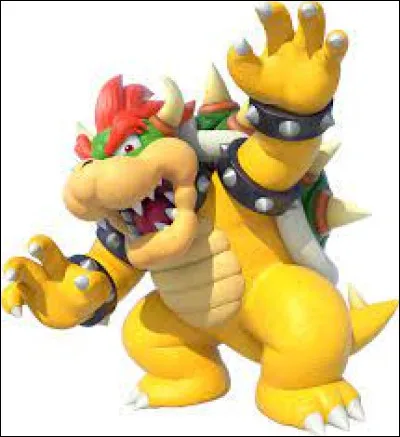Comment obtient-on le personnage de Bowser ?