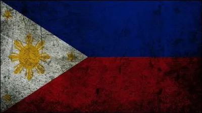 À quel pays appartient ce drapeau ?