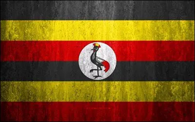 À quel pays appartient ce drapeau ?