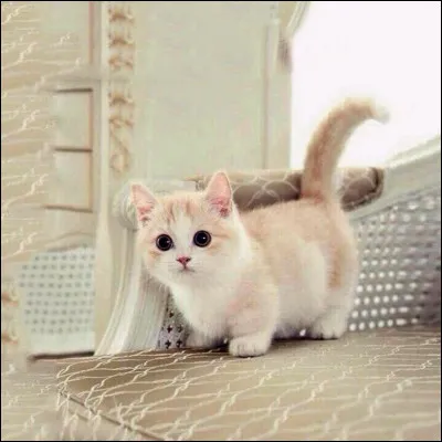 Troisième verbe : boire.
Quelle forme est correcte ?