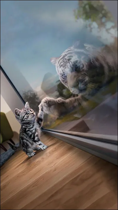 En Allemagne, il ne faut surtout pas trinquer avec