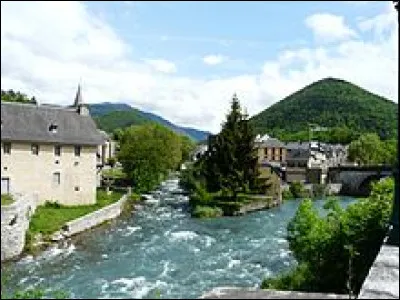Cette rivière, longue de 73 km, prend sa source vers 2 570 mètres d'altitude, au nord du Pic de la Géla, Elle arrose Saint-Lary-Soulan et la vallée d'Aure avant de se jeter dans la Garonne à Montréjeau :