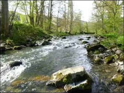 Cette rivière, longue de 35 km, prend sa source à la frontière espagnole au pic de Maubermé à 2 880 mètres d'altitude, coule vers le nord-est arrose Castillon-en-Couserans et se jette dans le Salat à Saint-Girons :