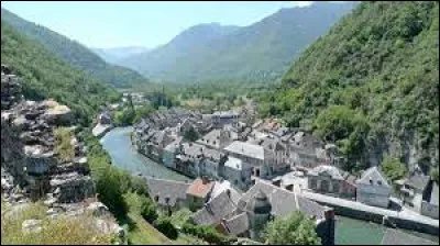 Ce fleuve naît de plusieurs sources, entre 1870 et 2400 mètres d'altitude dans les Pyrénées espagnoles, arrose le val d'Aran, coule vers le nord jusqu'à sa sortie de la chaîne pyrénéenne puis vers l'est vers Saint-Gaudens :