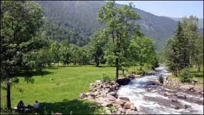 Cette rivière, longue de 33 km, prend sa source à 2 300 m d'altitude, près du pic de la Mine près de la frontière espagnole, arrose la vallée de Luchon, coule vers le nord et se jette dans la Garonne en aval de Saint-Béat :
