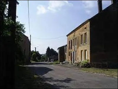 Nous sommes dans le Grand-Est, à Neufmaison. Petit village de 75 habitants, néanmoins inclus dans l'aire d'attraction Carolomacérienne, il se situe dans le département ...