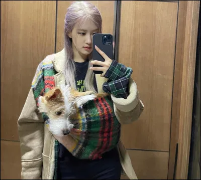 Comment s'appelle son chien ?