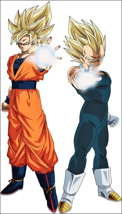 Question transformations : qu'en dis-tu ?