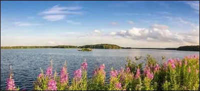 Quel célèbre festival de spectacle vivant se déroule chaque année en juillet en France ?