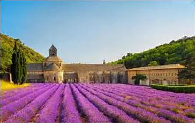 Quel célèbre festival de musique classique se déroule chaque année en juillet en Autriche ?