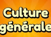 Quiz Culture ple-mle (11)