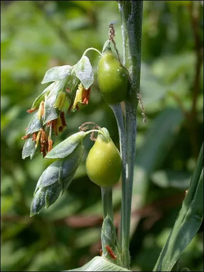 Quel est le premier livre de Patrick Autréaux ?
