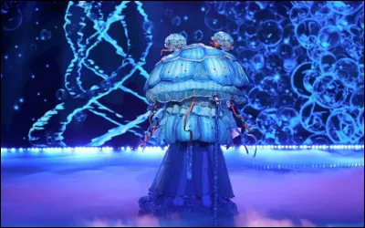 Qui se cachait sous la m&eacute;duse ?