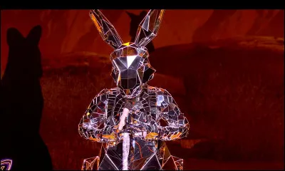 Qui se cachait sous le kangourou ? (Deuxi&egrave;me star internationale)