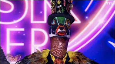 Qui se cachait sous le costume du canard ?