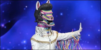 Qui se cachait sous le costume du lama ?