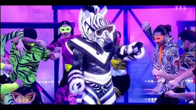 Qui se cachait sous le z&egrave;bre ?