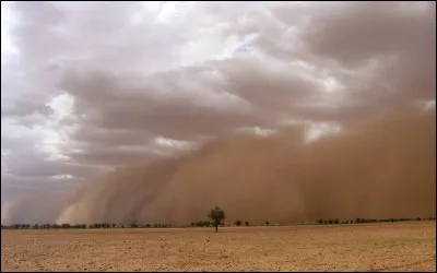 Quel est le nom du vent chaud et sec qui souffle sur l'Afrique occidentale ?