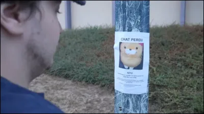 Le mot "patent" existe-t-il ?