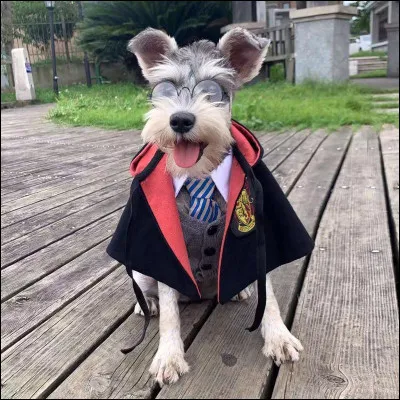 Vous devriez trouver ce prénom, ce n'est pas sorcier !