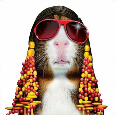 Un indice : Happy Birthday !